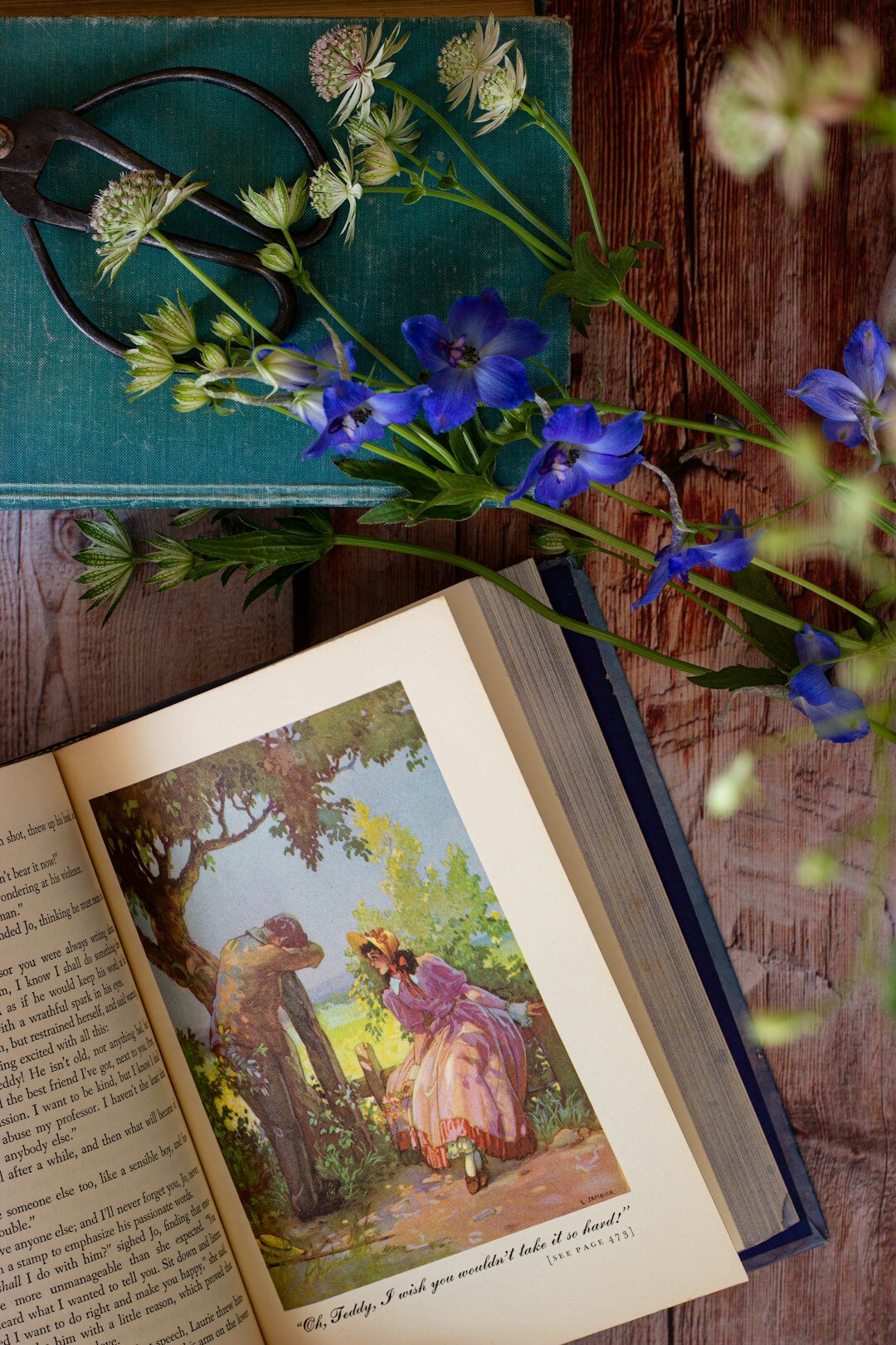 vintage dutch book cover
